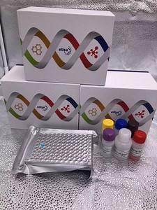 [Hot Item] Advanced Colistin Elisa Testing Kit for Poultry and Dairy
