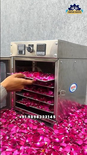 ₹10 ka Gulab ➝ ₹500 ka Rose Powder 😳 | Dehydrator Machine Business Idea | High Profit