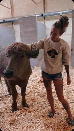 5.3K views · 2.9K reactions | Phill Merch Drop We heard y’all loud...