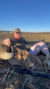 2.6K views · 19 reactions | We're Pennsylvania goose hunters...藍 | Head Outdoors | Facebook