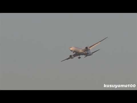 ✈✈RJAA成田空港 緊急着陸！Visual Approach！Emergency landing こんな凄いアプローチ初めて見た!!急病人の為 ビジュアル・アプローチ Narita