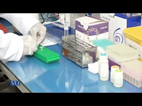 Isolation of Plasmid DNA from Bacteria | Methods in Molecular Biology (Practical) | MB504P_Topic013