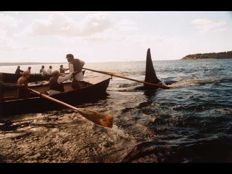 Killers In Eden. The true story of Old Tom, Law of the Tongue, and whalers of Twofold bay.