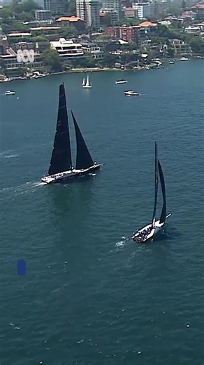 Picked the right day for it ⛵ Check out the Big Boat Challenge that took place in Sydney Harbour on Tuesday. Some of the fastest yachts in the world took part. The boats began near Point Piper, headed out to Sydney Heads, went around Shark Island, then back out to the heads again and finished near the Sydney Opera House. 📲 Choose your news and stay in the know with the ABC NEWS app. #ABCNewsNSW | ABC Sydney