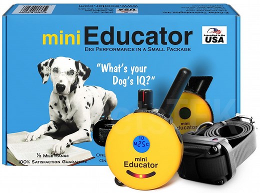 Complete Guide to the ET-300 Mini Educator E-Collar by E-Collar Technologies