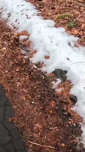 Does This Job Sound Sketchy?