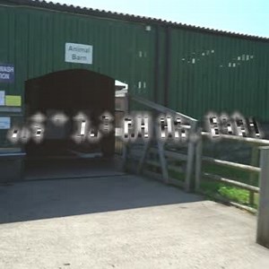 Is Your Family Looking for An Adventure This Weekend? Come to...