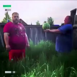 112K views · 75 reactions | Can't stop laughing 藍藍藍藍 | Zombie Dogz | Facebook