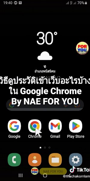 #วิธีดูประวัติเข้าเว็บอะไรบ้างใน Google Chrome | By NAE FOR YOU