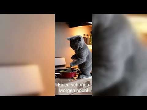 [DE] Just Hello: Persönliche Video-Grußkarte mit Name & Stimme – So geht’s – 60-Sek.-Version