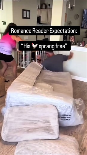 Bookish Humor: Fluffing Pillows for a Good Laugh