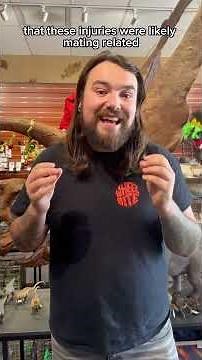 How can we tell the difference between male and female dinosaurs? 🦖 #dinosaur #shorts #science