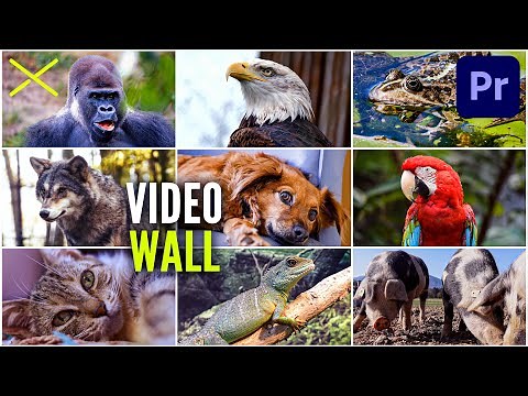 How to Make a VIDEO WALL or Split Screen Grid in Premiere Pro CC