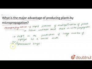What is the major advantage of producing plants by micropropagation?