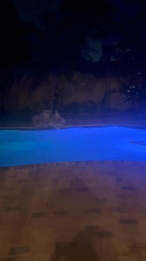 late night swims #poolvibes #fupviral #vitalreels | Candice Lee Gietzman