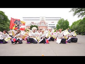 [4K] よさこいダンスチーム東海大学響 YOSAKOIソーラン祭り 2024 日曜日 道庁赤れんが会場