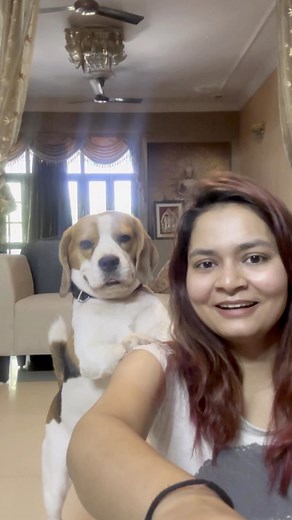 That lil smile 😍 #selfietime #dogreels #funnydog #doodlethebeagle #dogmemes | Doodle
