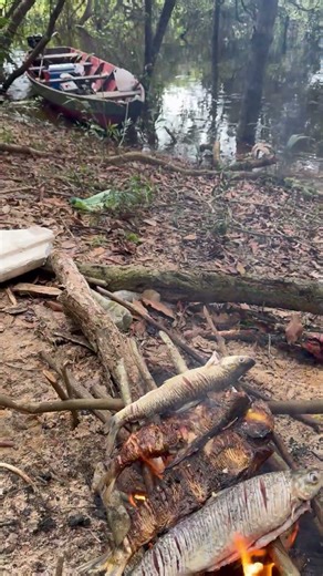 Life in Amazon Forest.