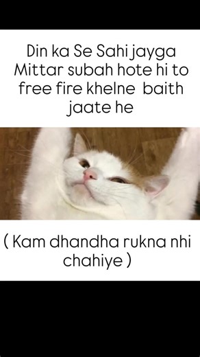 Instagram video by gali_version_2.0 • Jan 28, 2026 at 8:43 PM