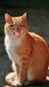 231K views · 6.9K reactions | Mimi re frapper ankò Promo code "Aurelie08" | November Rain-Aurelie | Facebook