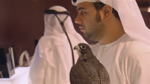 This is Bondi Vet’s most heartwarming international missions