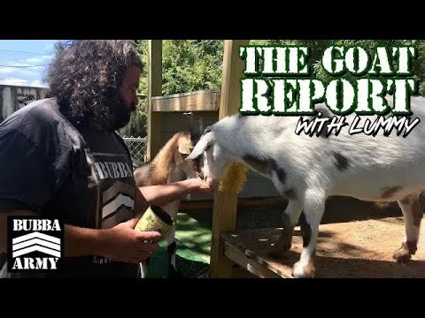 The Goat report with Lummy!#TheBubbaArmy