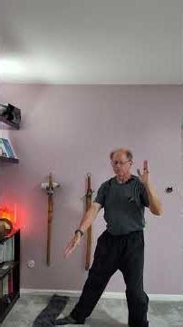 Yang Style Tai Chi - Breakout - Ward Off through Single Whip