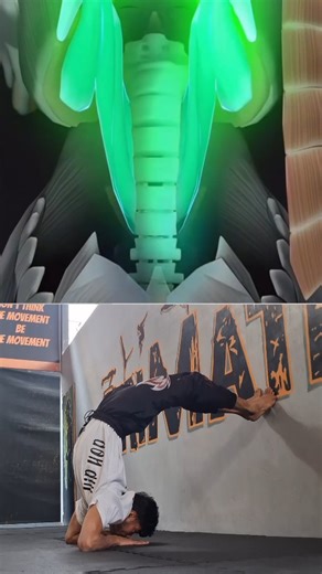 Abishek Chy on Instagram: "No shortcuts. Just smart training 🧱 Wall assisted bridge for a stronger spine, ; : Key Benefits 🔥 Spine flexibility Shoulder & chest mobility Hip & quad stretch Core activation : : : #WallAssistedBridge #StrengthAndFlexibility #SpineMobility #BridgeProgression MobilityWork #yaga"