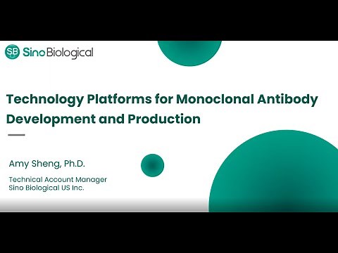 Technology Platforms for Monoclonal Antibody Development and Production
