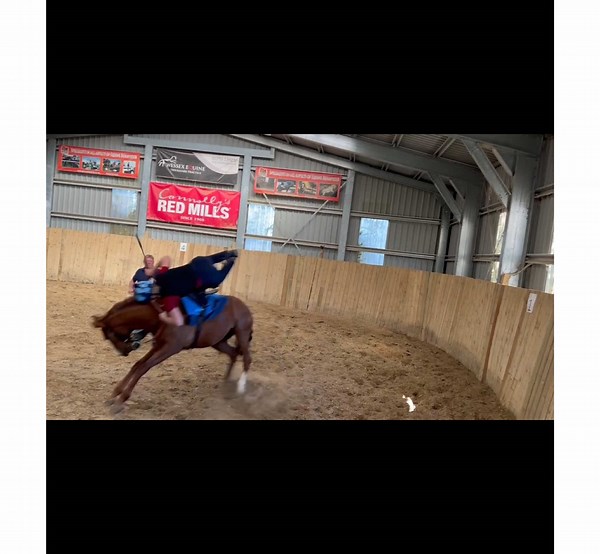 Required a bit of taming this one @Ev 🤣