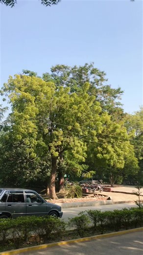 Shaman Mirali's Heartfelt Performance on Kashmir Issues