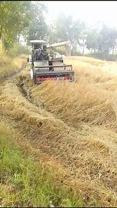 🙏dhan catting ||dhan jharai Machine||🙏