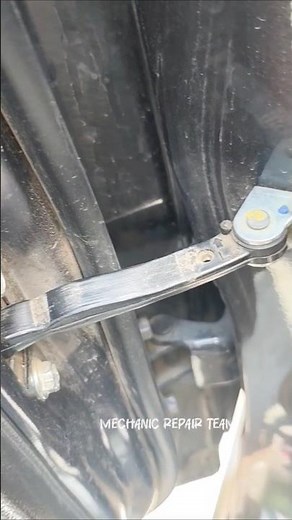 Door catcher noises ☺️😳 #shorts