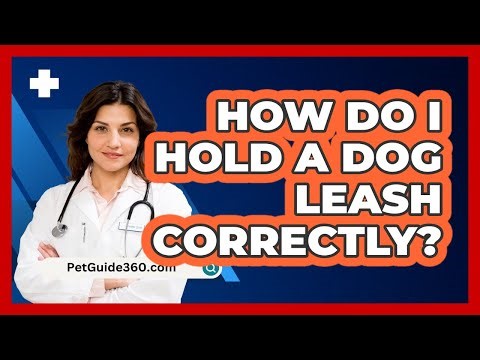 How Do I Hold a Dog Leash Correctly?