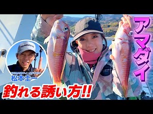 [Sagami Bay Tilefish] Drastic changes in fishing results! How to lure tilefish to catch | Complet...