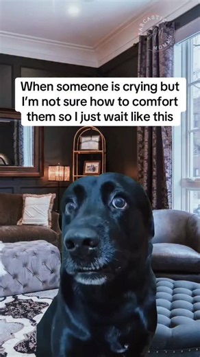 CHRIS | Crying? #stop #crying | Instagram