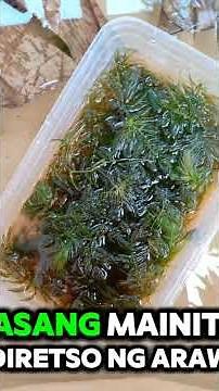 Paano mag alaga ng craylings? #crayfish #craylings #crayfishfarming