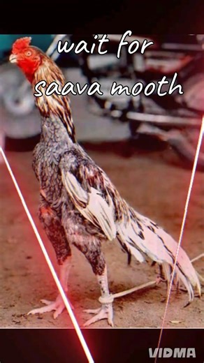 wait for sava mooth please like subscribe me