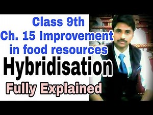 hybridisation class 9