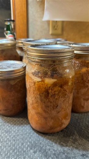 GGA Canuary Part 7 Canning meat Have you ever canned meat? It’s been a game changer for me. I can make chicken Alfredo from scratch in less than 15 minutes with my own canned chicken. I can make beef manhattans in less than 20 minutes with canned stew meat. Some nights I just don’t feel like cooking, so with canned meat, I can still feel good about feeding my family quality food! I haven’t even told you about how great canning meat is for getting that last little bit of meat processed from last 