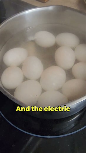 Why Electric Stoves Suck