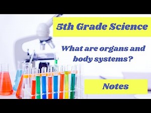 Organs and body systems notes // 5th grade science eLearning lesson