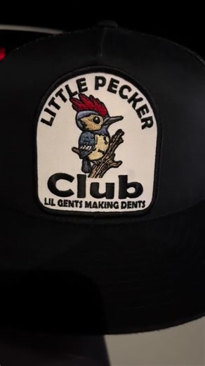 Little kid rock #charger #20s #starlight #dodge #hellkitty #fyp #kidrock