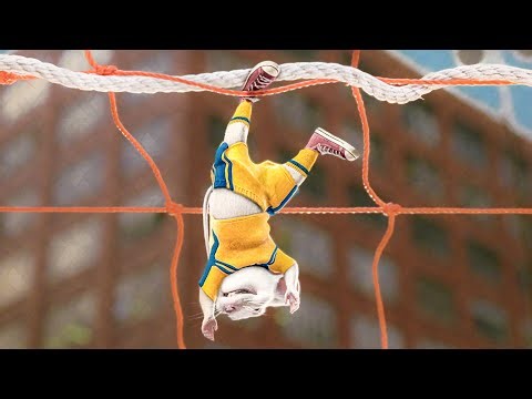 Stuart Shows Off His Soccer SKILLS | Stuart Little 2