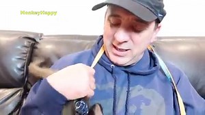 MonkeyHappy trains with his leash for the first time! He's learning so fast! Always like and SHARE MonkeyBoo with a friend! | MonkeyBoo