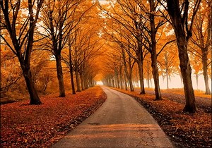 Pianist George Winston Dead At 73