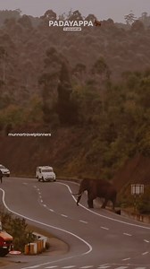 2.9K views · 93 reactions | Idukki  gods own country  | Munnar - Travel Planners | Facebook