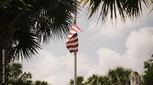 USA Flag flapping in the wind with a bright sky and tropical trees Stock Video