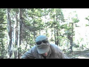 Poop Confessionals Vol 212 - Pooping in the Woods