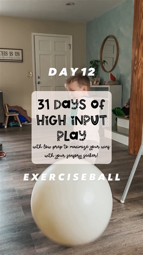 Low Prep High Energy Play | GRACE NOWATZKE on Instagram: "Exercise balls are a fantastic sensory tool for so many reasons🙌🏼 Here’s three ways we used ours today to burn energy, meet sensory needs and calm his nervous system! Day 13 of 31 days of high input play✔️ My sensory seeker has been loving testing out all of my ideas! I hope your kiddos love them too🥰 #activekid #playfulparenting #grossmotorplay"